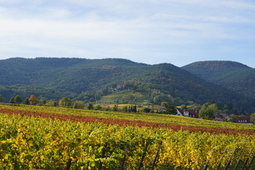 Fototapeta na wymiar Sonnige, herbstliche Landschaft bei St. Martin an der Südlichen Weinstrasse