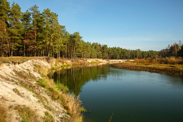 Forest autumn landscape. High sandy riverbank. Pine forest is reflected in the river.