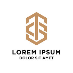 letter TS luxury logo icon