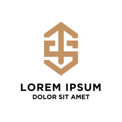 letter TS luxury logo icon