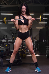 Fototapeta na wymiar pretty caucasian fitness woman pumping up muscles workout fitness and bodybuilding concept gym.
