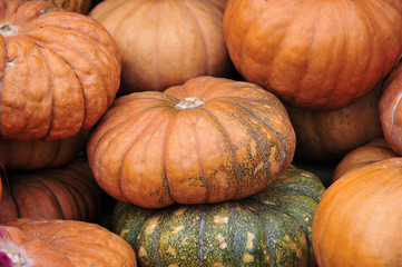 Korean pumpkin