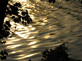 Sunset over the river