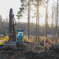 uprooting pine forest with heavy construction machinery. a heavy excavator fells a huge pine and...