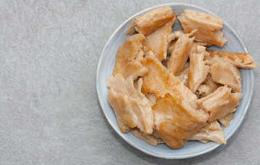 Plant based meat. Fried chicken made of soy.