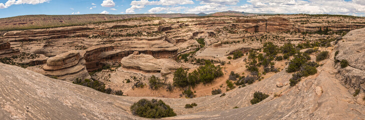 Natural Bridges National Monument Panoramic