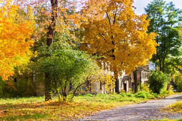 Obraz premium autumn trees on the background of an old house, Sunny day