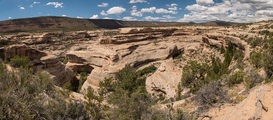 Natural Bridges National Monument Panoramic