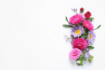 Composition with beautiful aster flowers on white background, top view