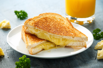 Grilled Cheese cheddar Sandwich on white plate