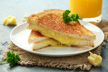 Grilled Cheese cheddar Sandwich on white plate