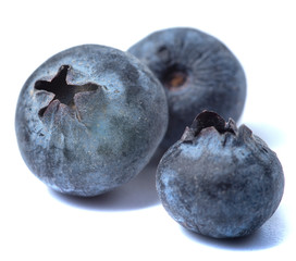 Obraz premium blueberry isolated on a white background. Macro photography