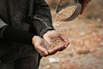Woman giving poor homeless person bowl of wheat outdoors, closeup