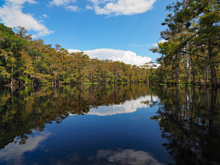 Wooded shores and clouds reflected on the still water of Fisheating Creek, Florida on autumn afternoon.