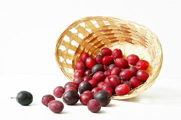 Purple plum in a wicker basket on a white background. Harvested ripe plum in a beautiful basket. Ripe plum in the basket. Basket on white background.