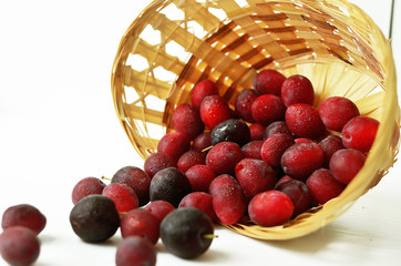 Purple plum in a wicker basket on a white background. Harvested ripe plum in a beautiful basket. Ripe plum in the basket. Basket on white background.