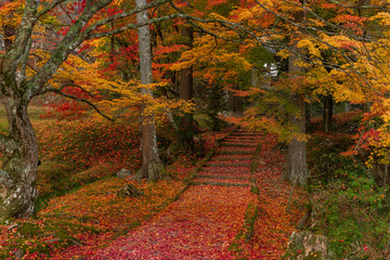 京都 龍穏寺の紅葉と秋景色