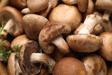 Different fresh wild mushrooms as background, closeup