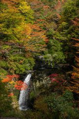 奈良県　高野山の紅葉と滝の景色