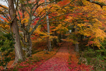 京都 龍穏寺の紅葉と秋景色