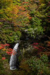奈良県　高野山の紅葉と滝の景色