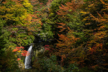 奈良県　高野山の紅葉と滝の景色