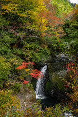 奈良県　高野山の紅葉と滝の景色