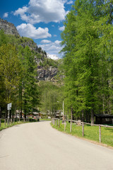 Fototapeta na wymiar small mountain road in the spring