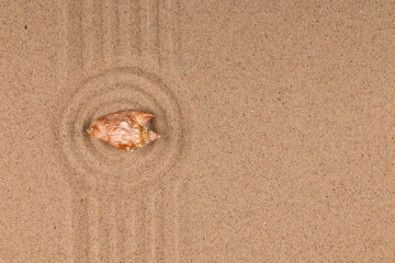 Circle made of sand with seashell. Copy space.