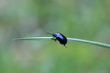 Hanging on