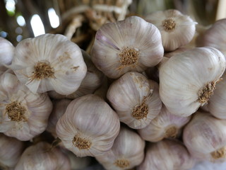 Têtes d'aulx, La Réunion