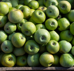 Green apples in a box for sale