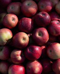 Red apples in a box for sale