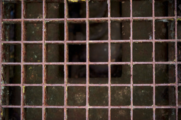 Smelly chamber. Close-up detailed image of the rusty iron grid lid. Mesh square pattern.