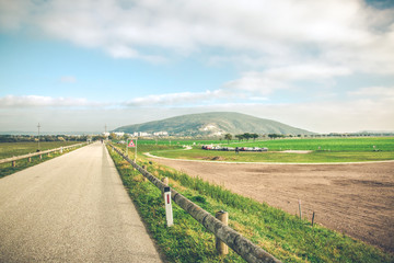 Fototapeta na wymiar Road landscape with mountain on a sunset. Bicycle trail to Bratislava from Austria. 