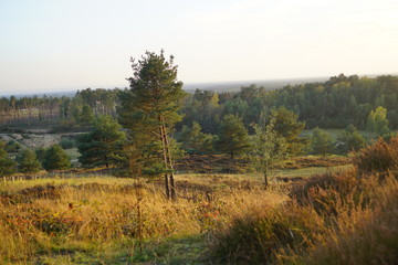 Bielefeld Senne Naturschutzgebiet