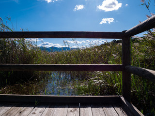 wooden walkway next to the freshwater lagoon and reeds