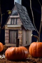 Pumpkins on a ground surface, in the background a house made of cardboard and painted with acrylic, the sides some branches simulating some trees with degraded background