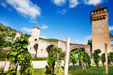 Valentre bridge in Cahor and vineyard, France - obrazy, fototapety, plakaty