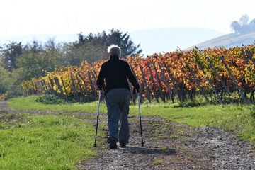 wanderer im herbstlichen weinberg bei vendersheim
