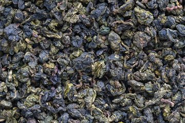 Green tea leaves background. Oolong tea. Abstract food textures. Close up .The high end tea of China.