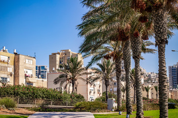 Fototapeta na wymiar promenade of the Mediterranean sea in Haifa.