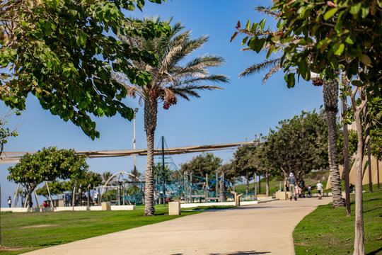 promenade of the Mediterranean sea in Haifa.
