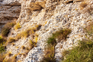 Sandstone with rare bushes of dry plants