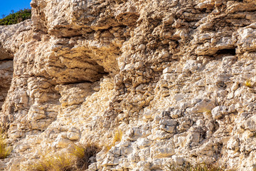 Sandstone with rare bushes of dry plants