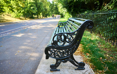 iron bench on a park walk