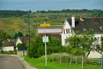 Vineyards of Vosne-Romanée