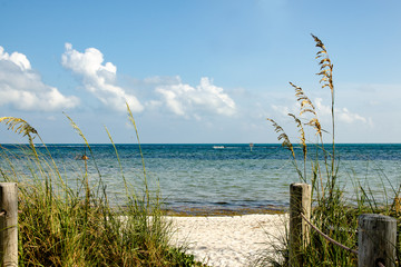 Path To The Beach