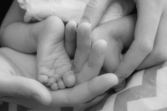 newborn baby legs in mother's hands, the concept of motherhood, love, child care, black and white image