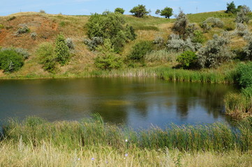 lake in forest
